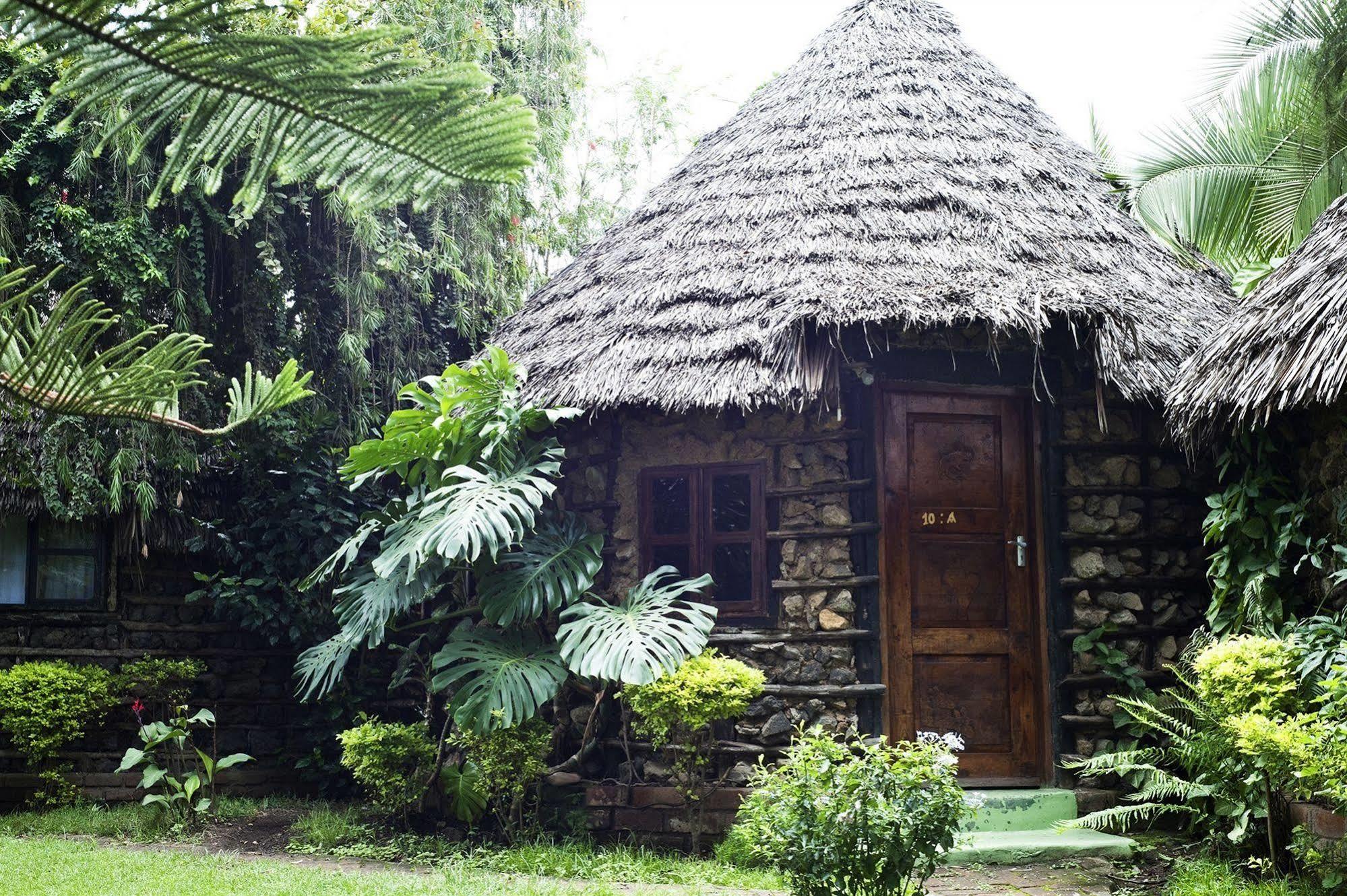 L Oasis Lodge And Restaurant Arusha Extérieur photo